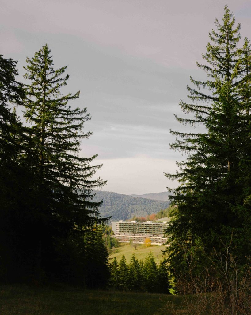 Vue de la villa Glovettes depuis la montagne entre deux sapins.