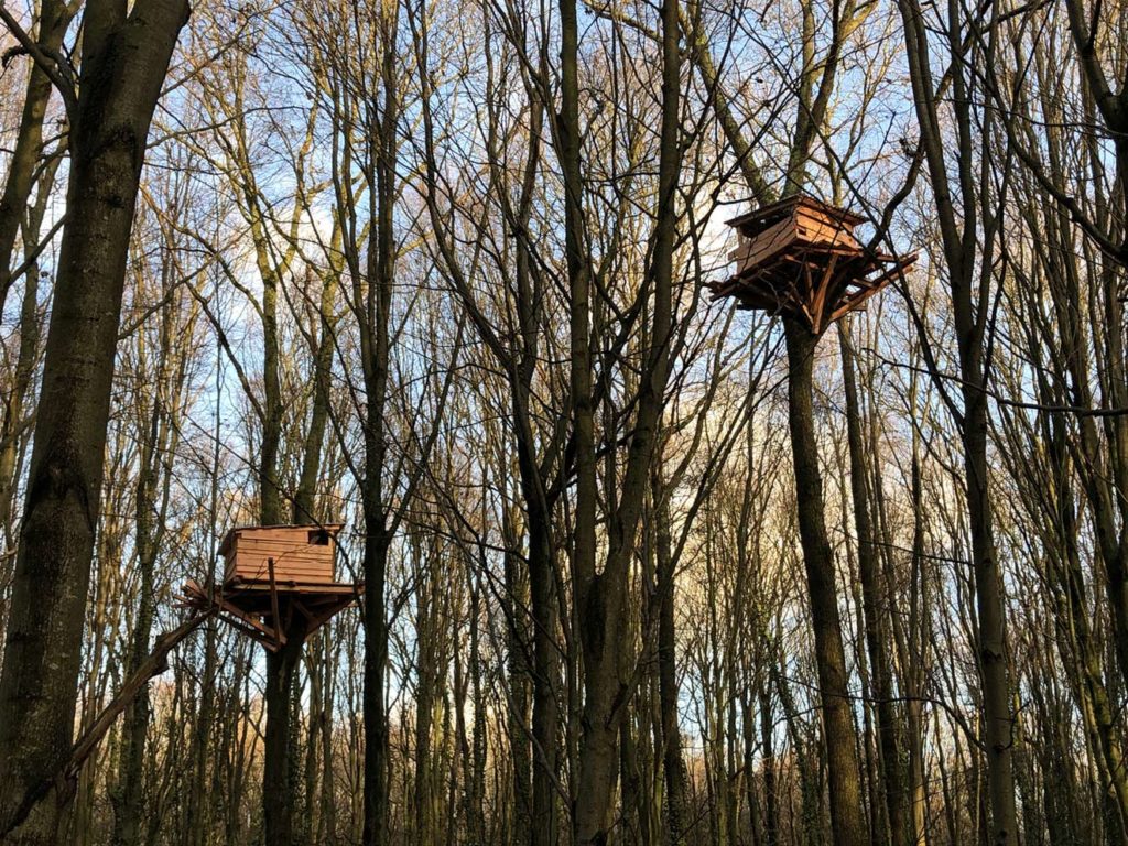 Cabanes dans une forêt