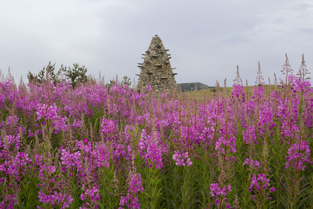 Paysage de fleurs mauves et tour en pierres en forme d'ogive